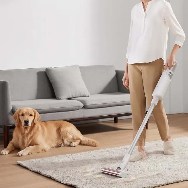 Aspirador de Pó e Pelos PET 2 em 1 Sem Fio Light